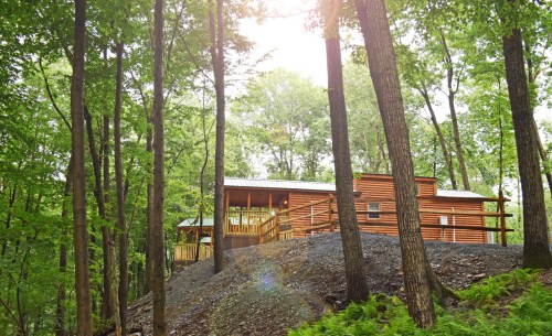 A wooden cabin nestled among tall trees on a hillside, with sunlight filtering through the leaves.