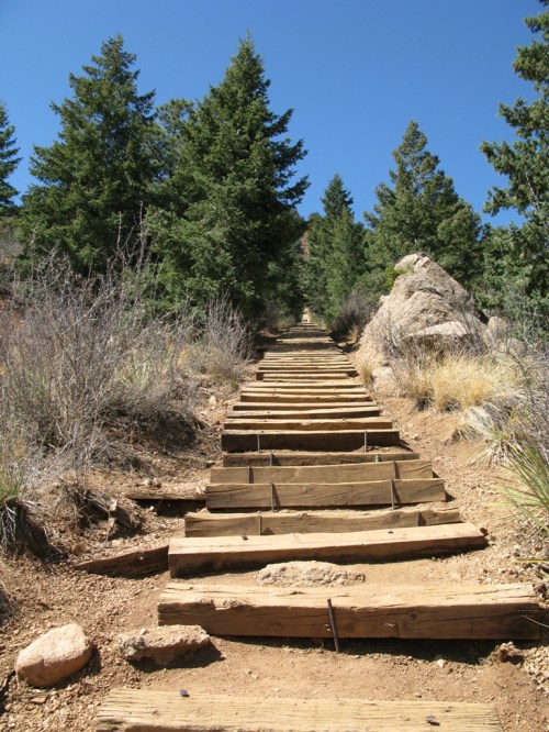 A wooden staircase leads up a rocky path through a forest of tall green trees under a clear blue sky.