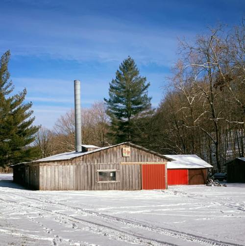 A rustic wooden building with a red door and chimney, surrounded by snow and trees under a clear blue sky.