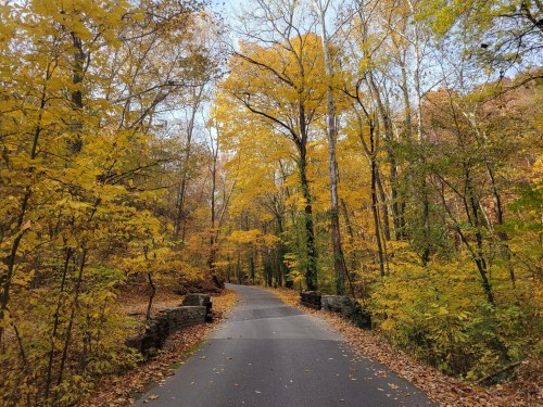 A winding road surrounded by vibrant autumn trees with yellow and orange leaves.