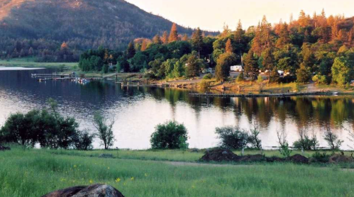 A serene lakeside view with trees, a grassy foreground, and a mountain in the background during sunset.