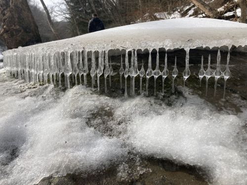 Icicles hang from a frozen surface near a stream, with a person blurred in the background among trees.