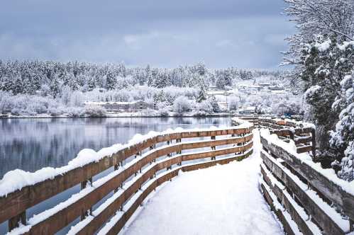 A snowy path along a lake, bordered by a wooden fence, with trees and houses in the background under a cloudy sky.