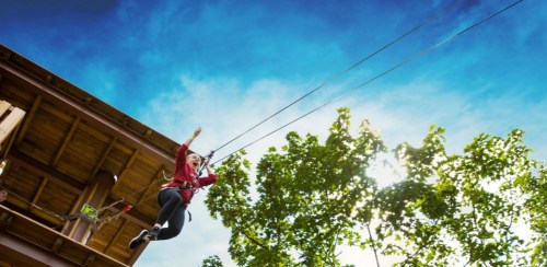 A person zip-lining from a wooden platform, surrounded by trees and a bright blue sky.
