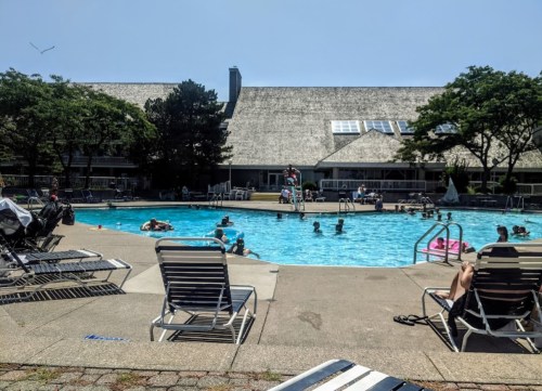 A sunny pool scene with people swimming and lounging on chairs, surrounded by trees and a building in the background.