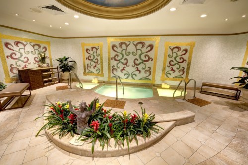 A serene spa area featuring a small pool, decorative walls, and lush tropical plants.
