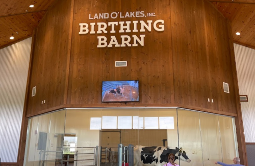Interior of a birthing barn with a wooden wall, a TV screen, and a cow visible behind glass. "Land O'Lakes, Inc." sign above.