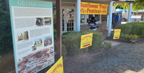 A festival scene in Gilliam, Louisiana, featuring signs for the Sunflower Trail Festival and informational displays.
