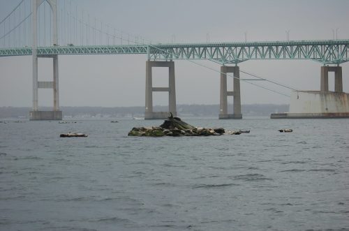 A rocky outcrop in the water with a bridge in the background, partially shrouded in fog.