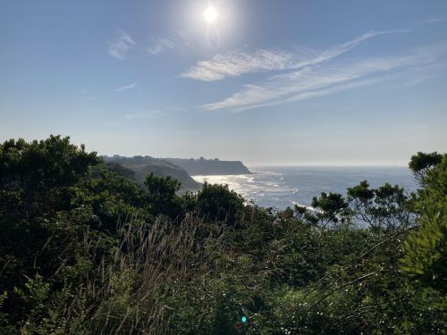 A coastal view with lush greenery, sunlight reflecting on the water, and a clear blue sky.