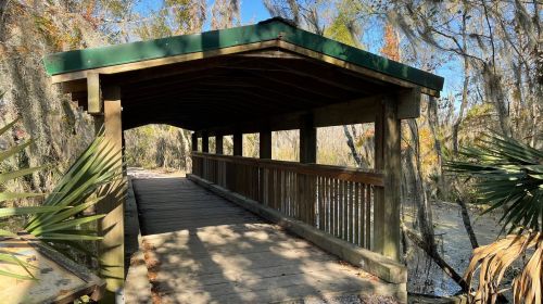 A wooden bridge with a green roof, surrounded by trees and water, leading into a serene natural area.