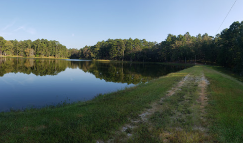 A serene lake surrounded by lush trees, reflecting the clear blue sky, with a grassy path along the water's edge.