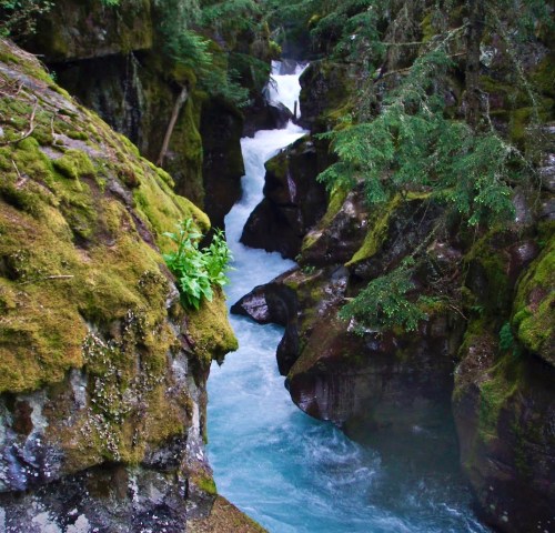 A serene river flows through moss-covered rocks in a lush, green forest.