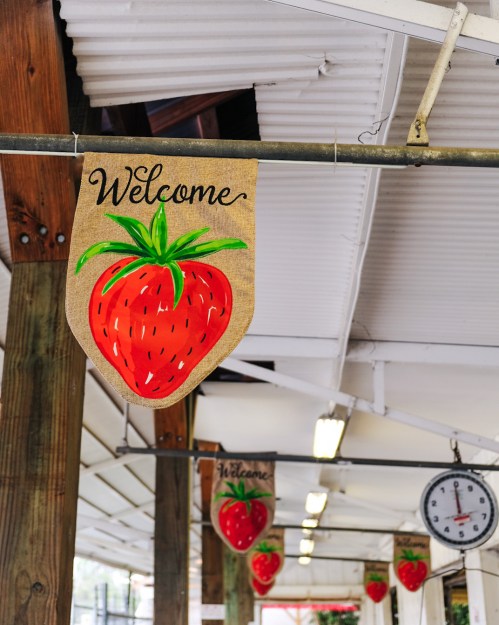 A "Welcome" sign with a painted strawberry hangs in a bright, open space decorated with more strawberry signs.