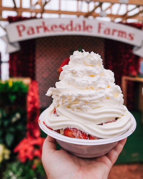 A hand holding a bowl of strawberries topped with a generous swirl of whipped cream, with a festive backdrop.