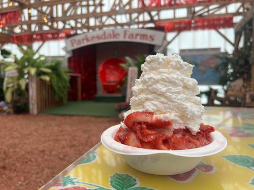 A bowl of strawberries topped with whipped cream, set in a vibrant indoor farm market.