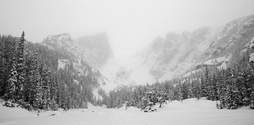 A snowy landscape with tall evergreen trees and a misty mountain range in the background, creating a serene winter scene.