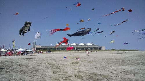 Colorful kites of various shapes soar in a clear blue sky over a sandy beach with people enjoying the scene below.