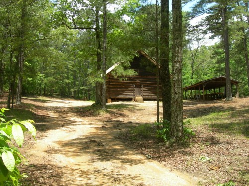 A rustic log cabin surrounded by trees, with a dirt path leading to it and a covered area nearby.