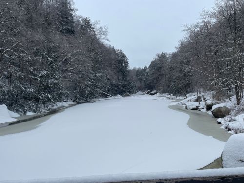 A serene winter landscape featuring a snow-covered river surrounded by trees and a gray sky.