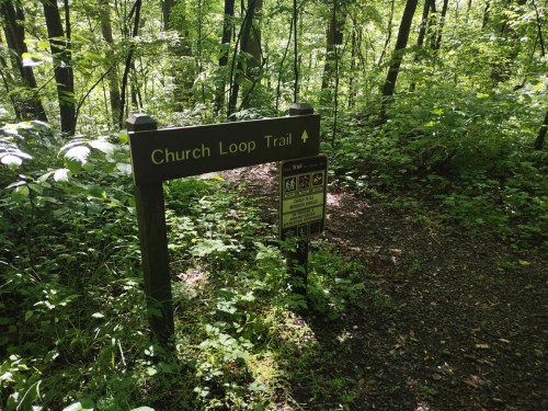 Sign for Church Loop Trail in a lush green forest, indicating the path ahead.