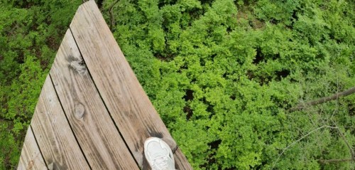 A close-up of a sneaker on a wooden platform overlooking a lush green forest below.