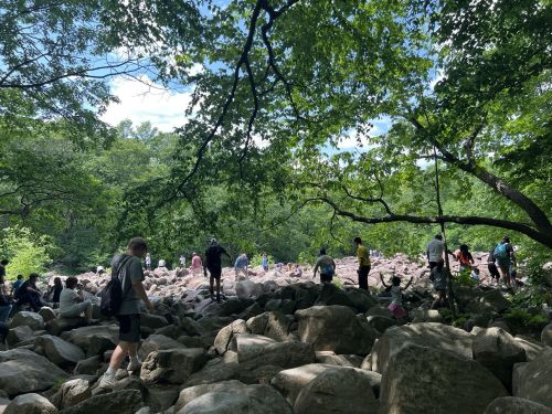 A group of people walking over large rocks in a lush, green forest under a bright blue sky.