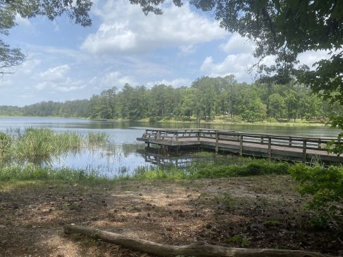 A serene lake view with a wooden dock, surrounded by lush greenery and a partly cloudy sky.