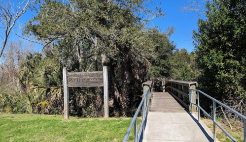A wooden bridge leads to a nature trail sign surrounded by lush greenery and blue skies.