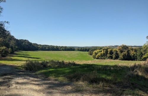 A wide, open green field surrounded by trees under a clear blue sky.