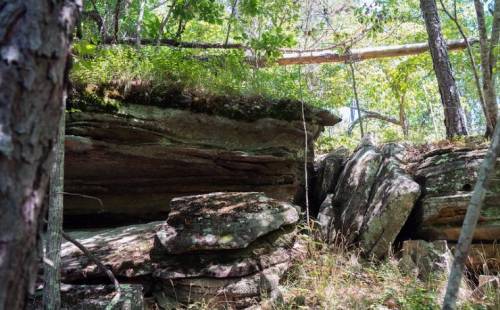 A rocky outcrop surrounded by trees and greenery, with moss-covered stones and a fallen tree branch above.