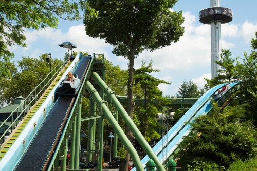 A water slide with riders enjoying the descent, surrounded by trees and a tall observation tower in the background.