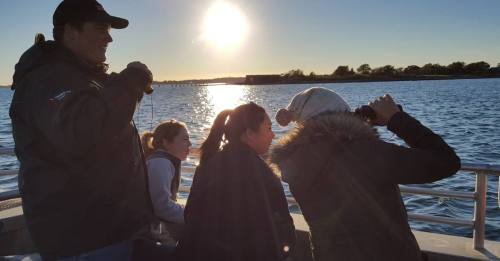 Four people on a boat, enjoying the sunset over the water, with one person taking photos.