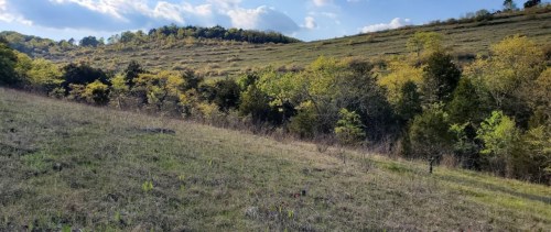 A scenic hillside with green trees and grass under a partly cloudy sky.