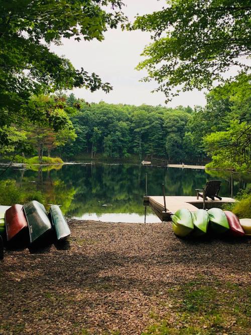 A serene lake view with colorful kayaks on the shore, surrounded by lush green trees and a wooden dock.