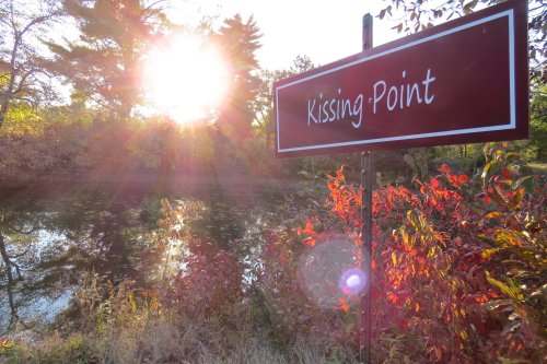 A sign reading "Kissing Point" near a serene pond, with sunlight filtering through trees and colorful autumn foliage.