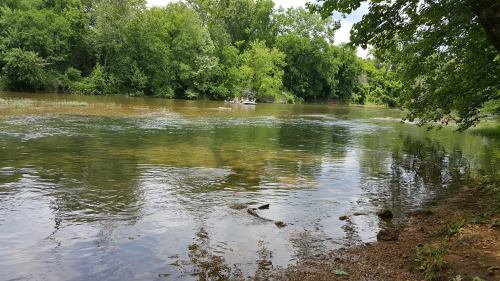 A serene river scene with lush green trees and a small group kayaking in the distance.