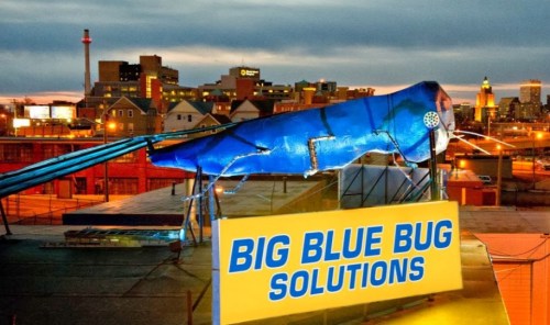 A large blue insect sculpture atop a building with a sign reading "BIG BLUE BUG SOLUTIONS" against a city skyline.