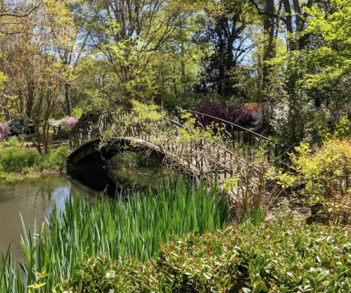 A serene garden scene featuring a wooden bridge over a pond, surrounded by lush greenery and blooming flowers.