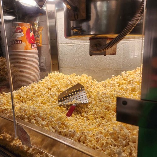 A popcorn machine filled with fluffy popcorn and a metal scoop resting on top.
