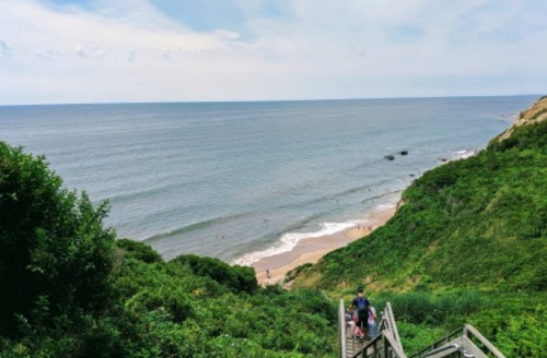 A scenic view of a beach with gentle waves, surrounded by greenery and a wooden staircase leading down to the shore.