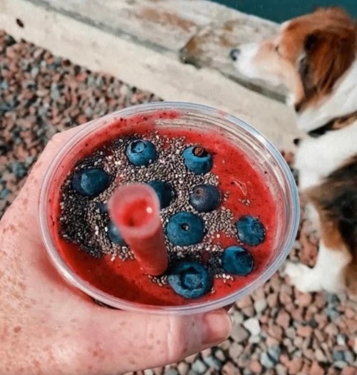 A hand holds a smoothie topped with blueberries and chia seeds, with a dog in the background near a rocky area.