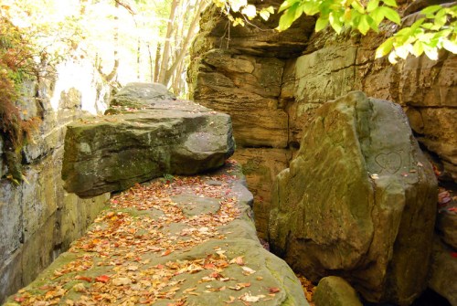 A rocky path surrounded by autumn leaves and cliffs, with sunlight filtering through the trees above.