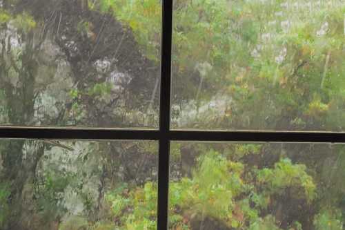 Rain-soaked window with blurred greenery visible outside, creating a serene, misty atmosphere.