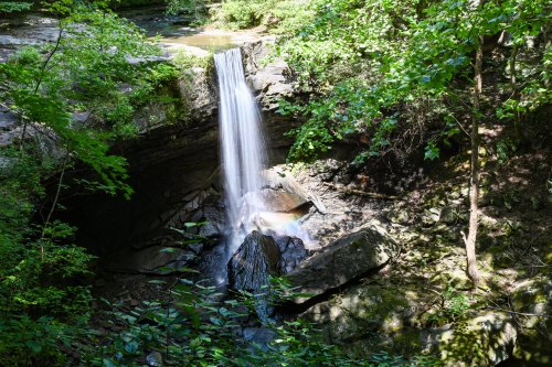 A serene waterfall cascades over rocks, surrounded by lush green foliage in a tranquil forest setting.