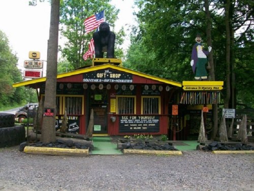 A quirky gift shop with a gorilla statue and clown figure, surrounded by trees and colorful signage.