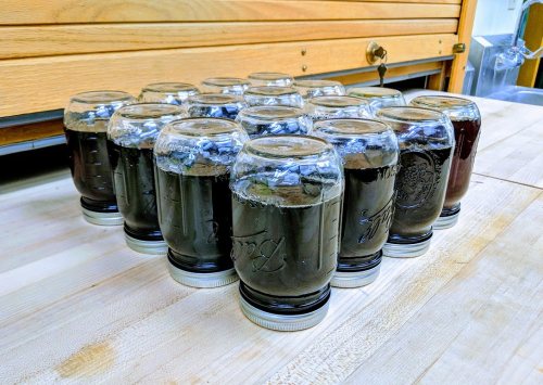 A group of jars filled with dark liquid, arranged on a wooden surface, with a wooden backdrop.