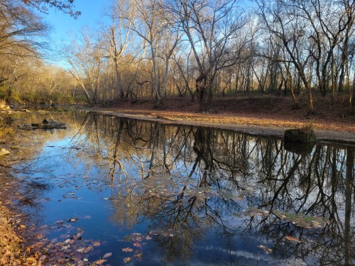 A serene river scene with bare trees reflecting on calm water, surrounded by fallen leaves and a clear blue sky.