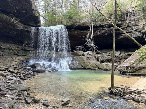 A serene waterfall cascades into a clear pool, surrounded by rocky terrain and lush greenery.