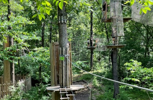 A treetop adventure park with wooden platforms and rope courses among lush green trees.